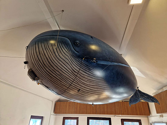 Whale-Blimp